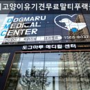 강아지고양이유기견무료말티푸랙돌먼치킨포메라니안