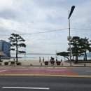 스타벅스광안리점 이미지