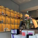 카페디노 이미지