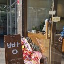 홋코리 이미지