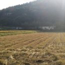 윤씨네농장 이미지