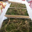 산양파출소 이미지