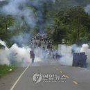 창기농장 이미지