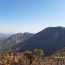 단산민박 | 짚라인 문경 가볼만한곳 체험여행 레포츠 추억