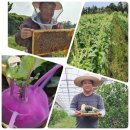 병곤농장 이미지