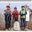 白頭大幹 30차 산행[박마을-부리기재-대미산-862봉-차갓재-작은차갓재-안생달](1) 이미지