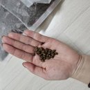 토토헤어 | 고양이 헤어볼 사료 , 인디고로 정했어요!