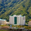 홍천자연랜드 | 🏕️ 홍천 리조트 추천🔥 소노벨 비발디파크 숙소 후기 (가족여행 필수)