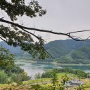 충주호 종댕이 이미지