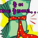 YOLO여행사욜로 이미지