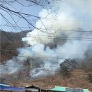 김삿갓면-45 쿠키뉴스