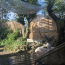 조근조근 민박 이미지