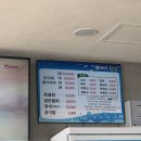 포항 북구 점심 맛집 현지인 추천 고추장물회 갈매기횟집