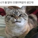대왕포차 이미지