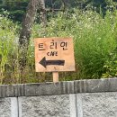 트리인(TREEIN) 이미지