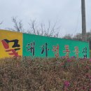 대가정통묵집 이미지