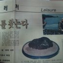 대전일보 이미지