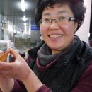 한우와바다 이미지