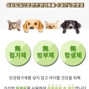 초이펫 이미지