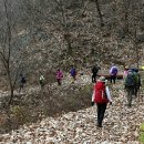 (주)여행클럽