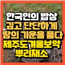 신풍리(어멍아방잔치마을)농촌체험휴양마을 | 한국인의 밥상 고두심 나레이션 깊고 단단하게 땅의 기운을 품다 겨울 보약뿌리채소 제주도 강원도 택배...