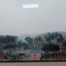 변호사김선진법률사무소