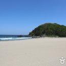 맹방해변로 이미지