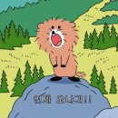 스탠다드짐 이미지