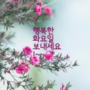 한마루 Daum카페