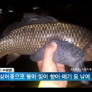 수원실내낚시터 이미지