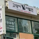 고양이이발관(부천신중동점) 이미지