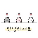 바미살롱 이미지