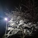 바다마을해군어린이집 | ​[내돈내산 제주 숙소&amp;맛집추천] 가성비 최고! 제주 해군호텔 숙박 후기/근처 찐맛집 코스