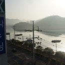 렉스사우나 이미지
