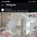 로젤리스냅 이미지