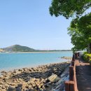 황포돗대 주변 이미지