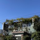 문경 | [문경 맛집] 에메랄드카페_내돈내산_문경맛집_후기