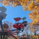 최강두리 태권도 이미지