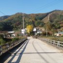 숲속정원펜션 이미지