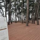 오아식스 티스토리