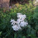 신등중학교 이미지