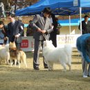 연암축산 이미지