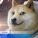 투더문 이미지