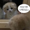 최쌤수학 - 북구 매곡로 62 | 산업위생관리기사 필기 후기