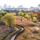 한밭수목원 이미지