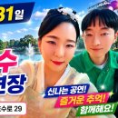 호수공연장 Daum카페