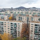 강남-현장-강남-000720 이미지