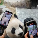 지하돌라이브, 혼술, 토리키, 요코하마 가서 코스모클락 타고 熊猫馒头먹는 일상🐼 여전히 쇼핑도 하다.