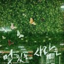 석정 이미지