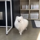 그루밍솔루션 구로점 이미지